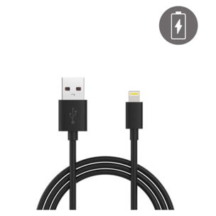 Câble droit USB / Apple Lightning MFI charge + sync 1 metre noir