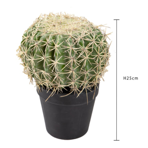 Echinocactus con vaso - Pezzi 1 - Colore: Verde - Bianchi Dino