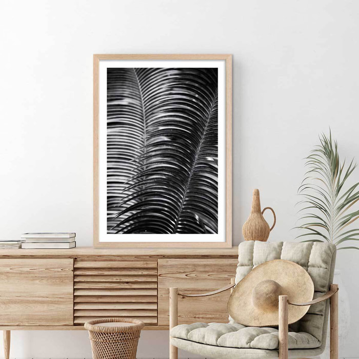 Poster jungle Sun palm Affiche sous cadre bois