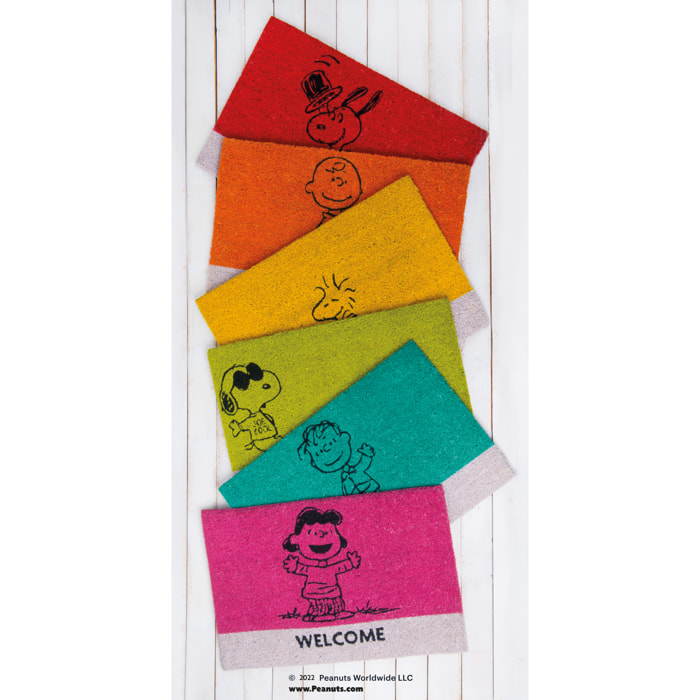 Zerbino 60x40 Excelsa – Peanuts, Fibra di Cocco Verde