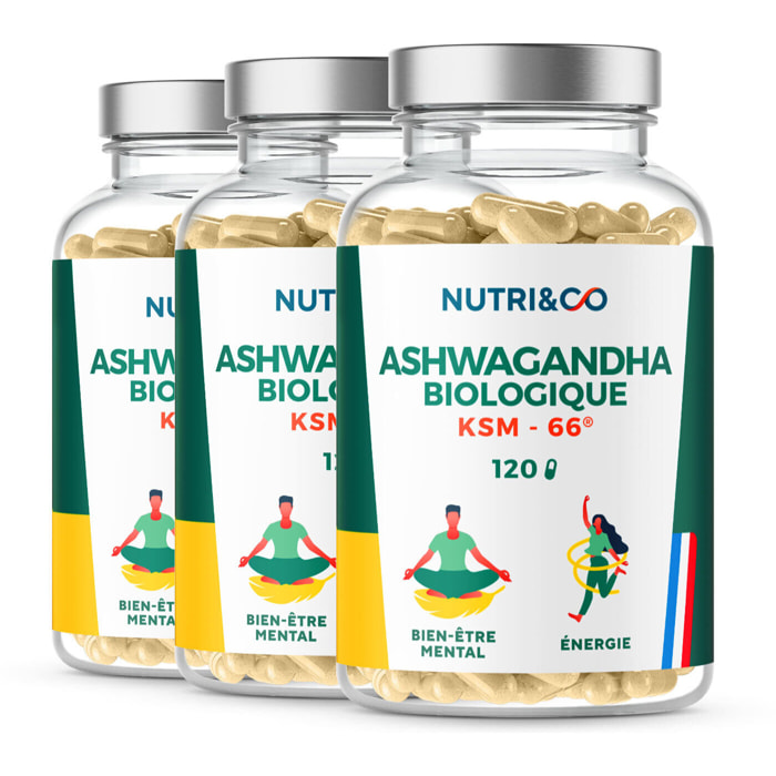 Ashwagandha Bio KSM-66® Stress Sommeil & Musculation - 120 gélules Vegan - Lot de 3