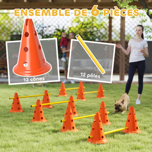 Set d'obstacles agility 12 cônes 6 piquets pour chien sac transport inclus
