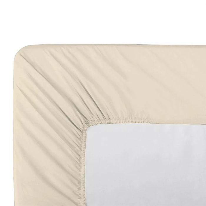 Drap housse b35 percale de coton uni ivoire Giulia ivoire