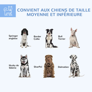 Chenil pour chien entièrement couvert - enclos chien - dim. 210L x 185l x 120H cm - porte verrouillable - acier galvanisé gris