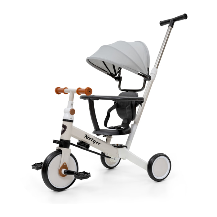 Triciclo para Bebés Evolutivo para Niños