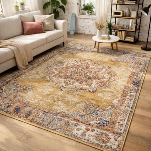Tapis salon Rectangulaire Oriental