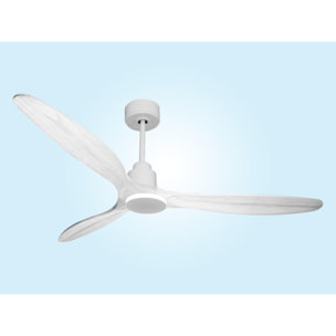 Ventilador de techo Wifi Motor DC Mando a Distancia Hypersilence Memoria SalD166C0466707 PURLINE