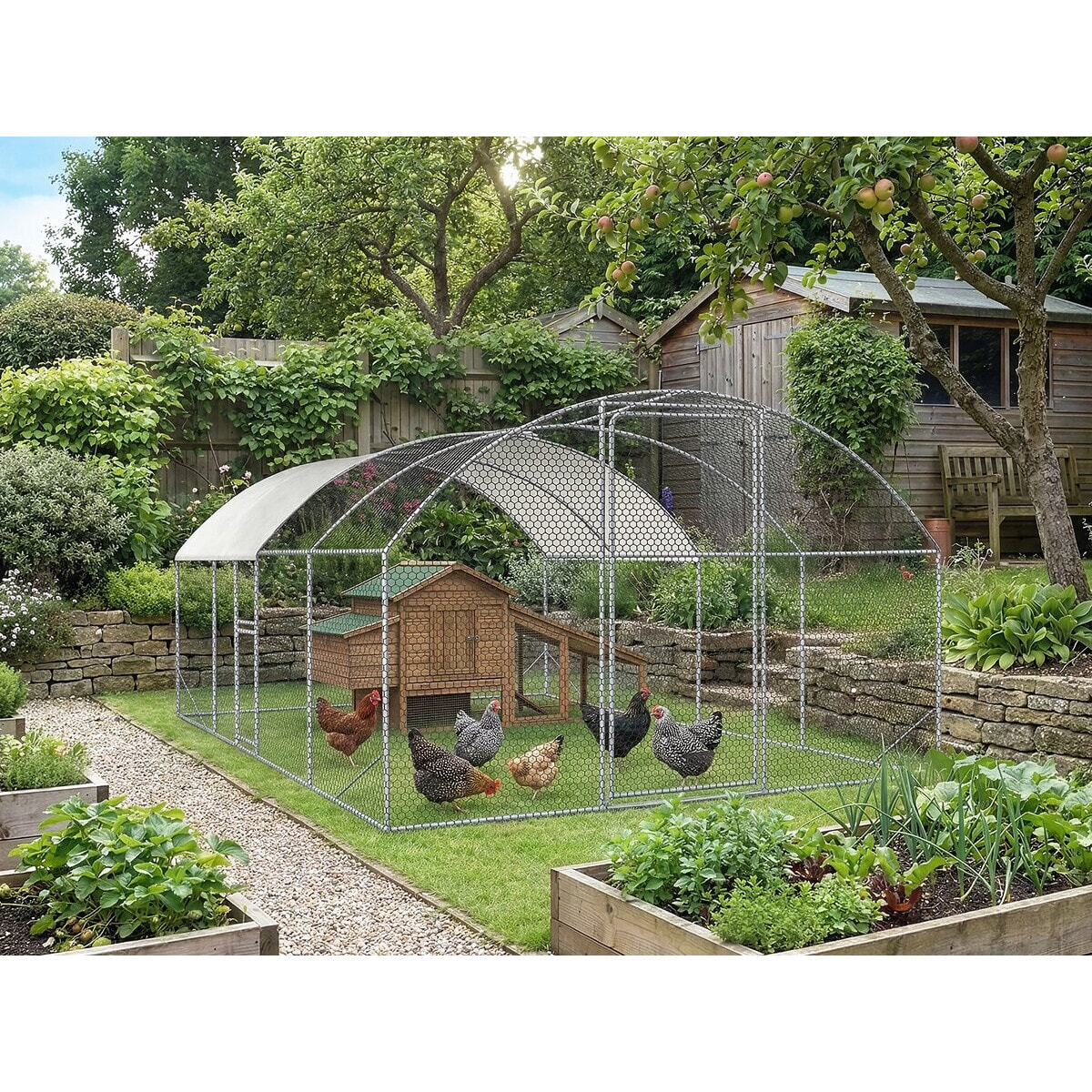 Enclos à poules dôme 15 m² parc grillagé "Cocorico" - 5 x 3 m - acier galvanisé