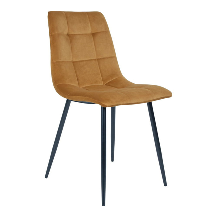 Set 2 sedie da pranzo Middelfart in velluto giallo senape con gambe nere