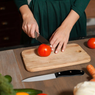 Set de 2 couteaux d'office 22 cm en inox Nirosta Fit