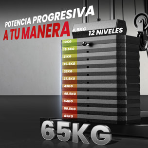 Multiestación Musculación, Máquina de Musculación con Prensa de Pecho, Placas de Peso 65 kg, Curl de Piernas y Brazos, Polea Mariposa, Carga 100 kg para Entrenamiento Casa Gimnasio Negro