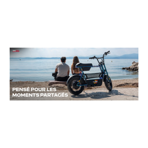 Draisienne Électrique UrbanGlide Thunder 160, 25 km/h, Autonomie 30 km, Roues 16 pouces Fat Tire, Freins à disque, Écran Batterie, Adulte