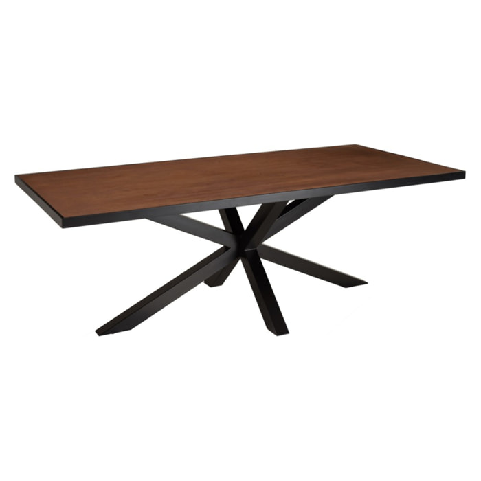 BASILE - Table à manger 220x100 couleur rouille effet pierre