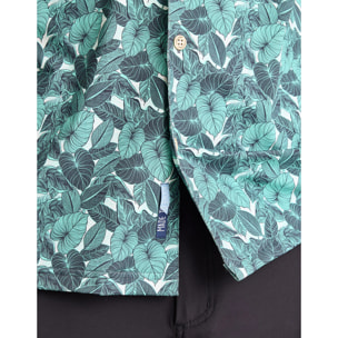 Camisa Manga Corta Verde - Supplies