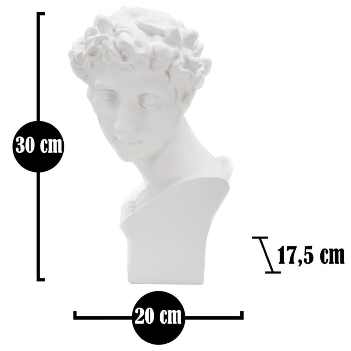 SCULTURA ROMAN YOUNG CM 20X17,5X30