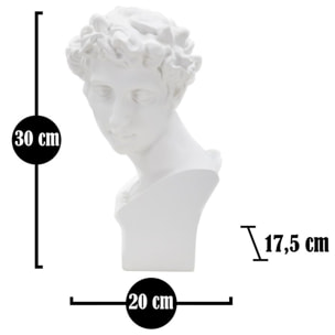 SCULTURA ROMAN YOUNG CM 20X17,5X30