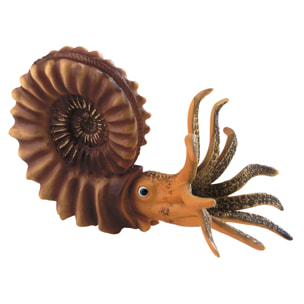 Dinosauri/Ammonite