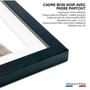Affiche enfant bébé lapin Affiche sous cadre noir