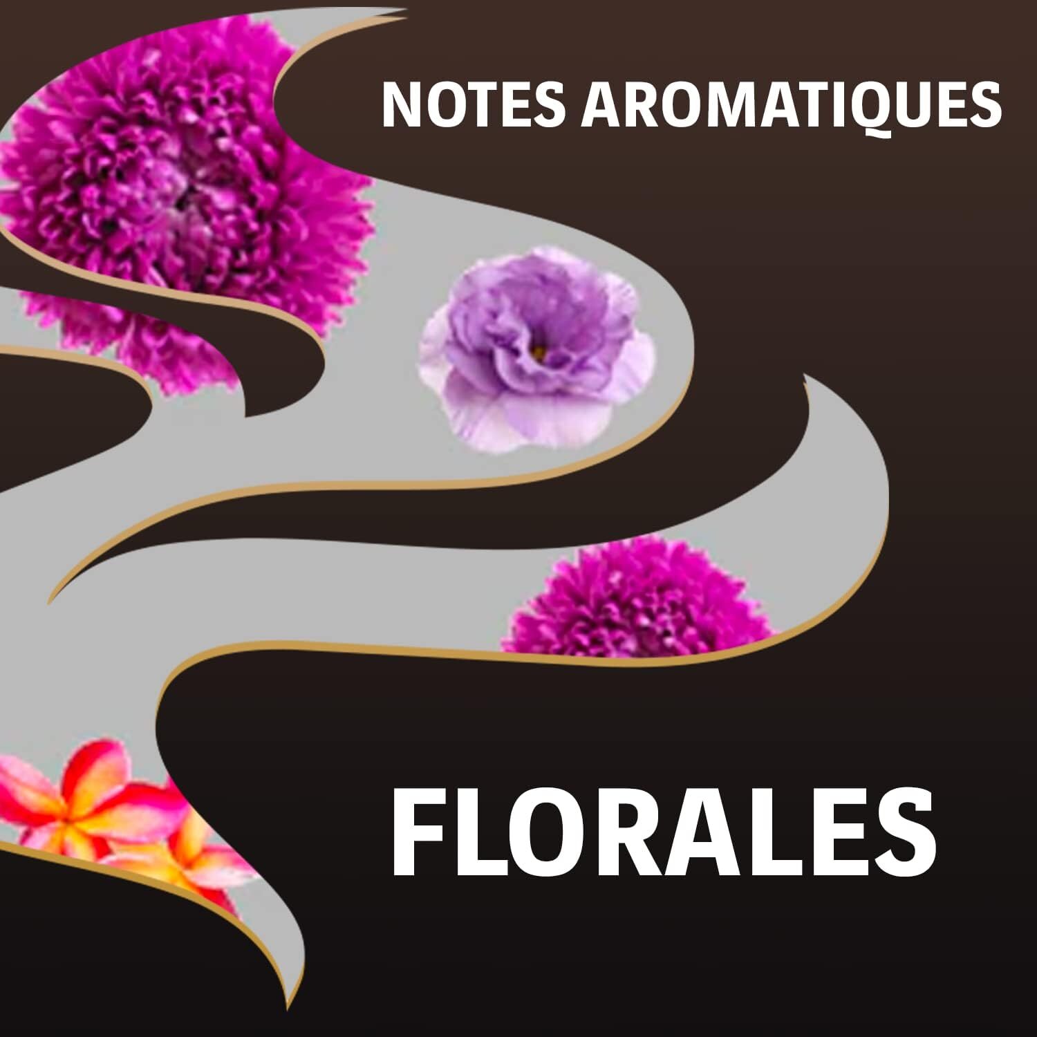 Grains Espresso Barista Grains 1Kg 100% arabica