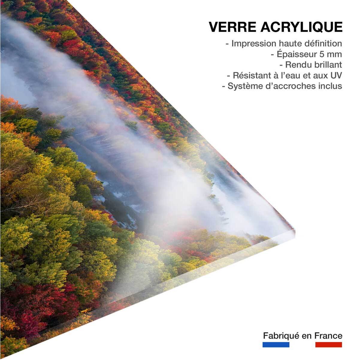 Tableau forêt et symphonie d'automne Tableau plexiglas