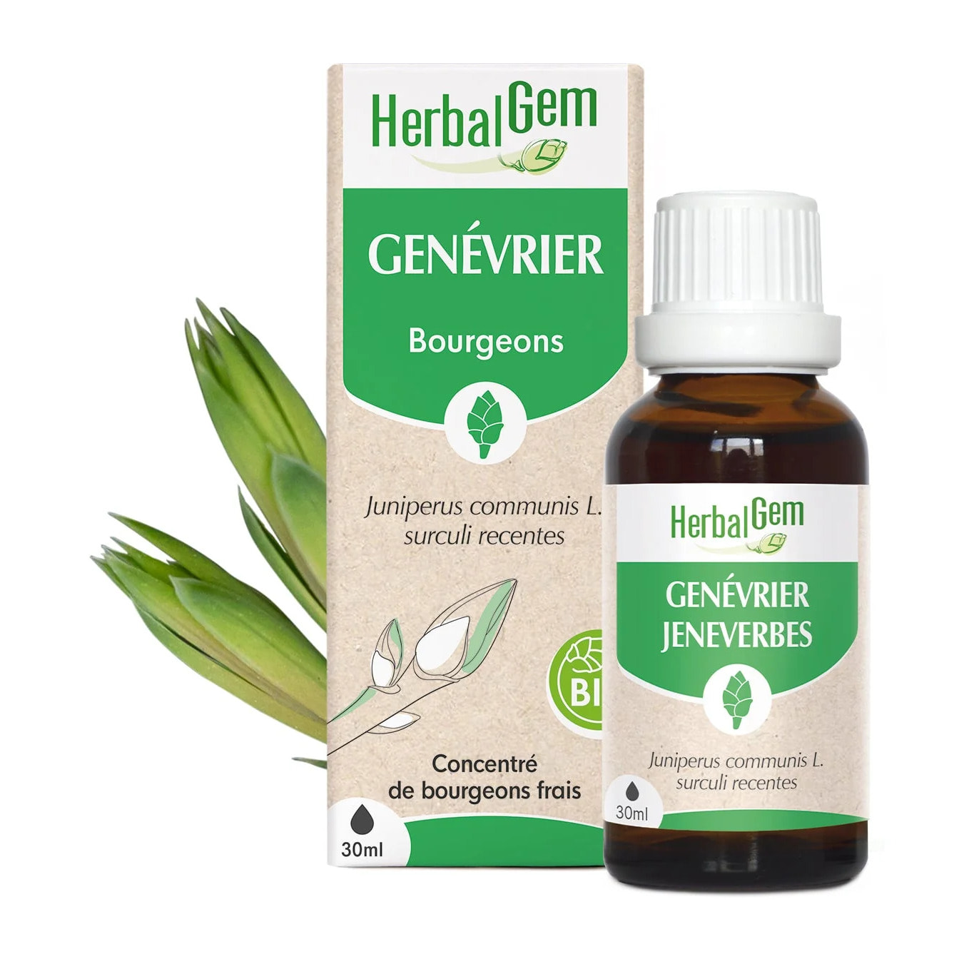 Herbalgem- Bourgeon de Genévrier - Bio - 30 ml