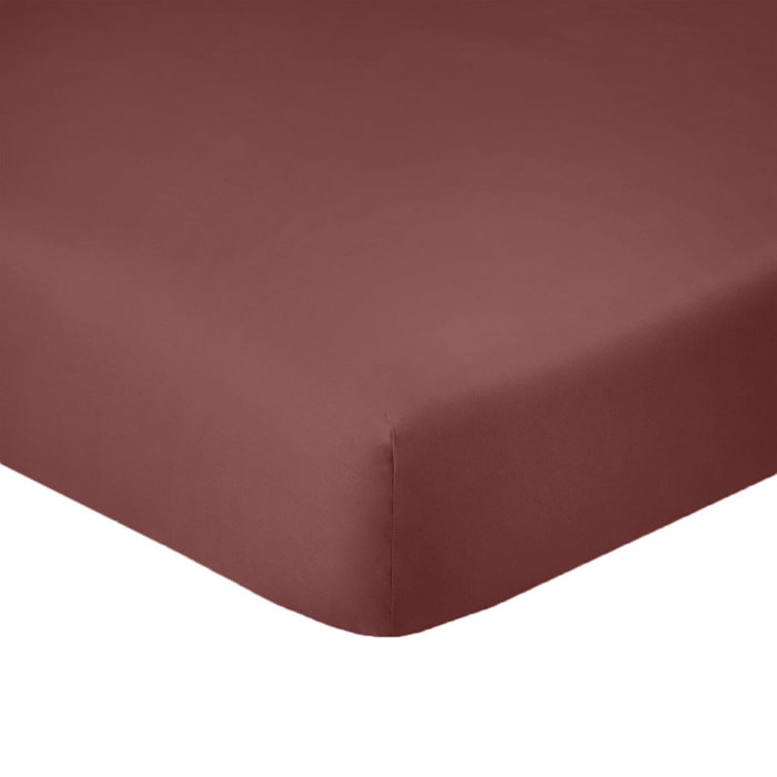 Drap housse - bonnet 25cm 100% coton - tommette
