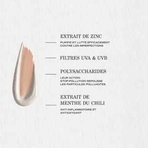 Pâte Grise - Crème Teintée Perfectrice SPF30 40 ml