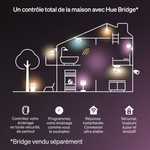 Bandeau LED PHILIPS HUE Essential Flex Strip Light 5m Color Grad