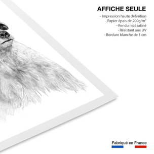 Affiche enfant ours polaire et lunette  Affiche seule