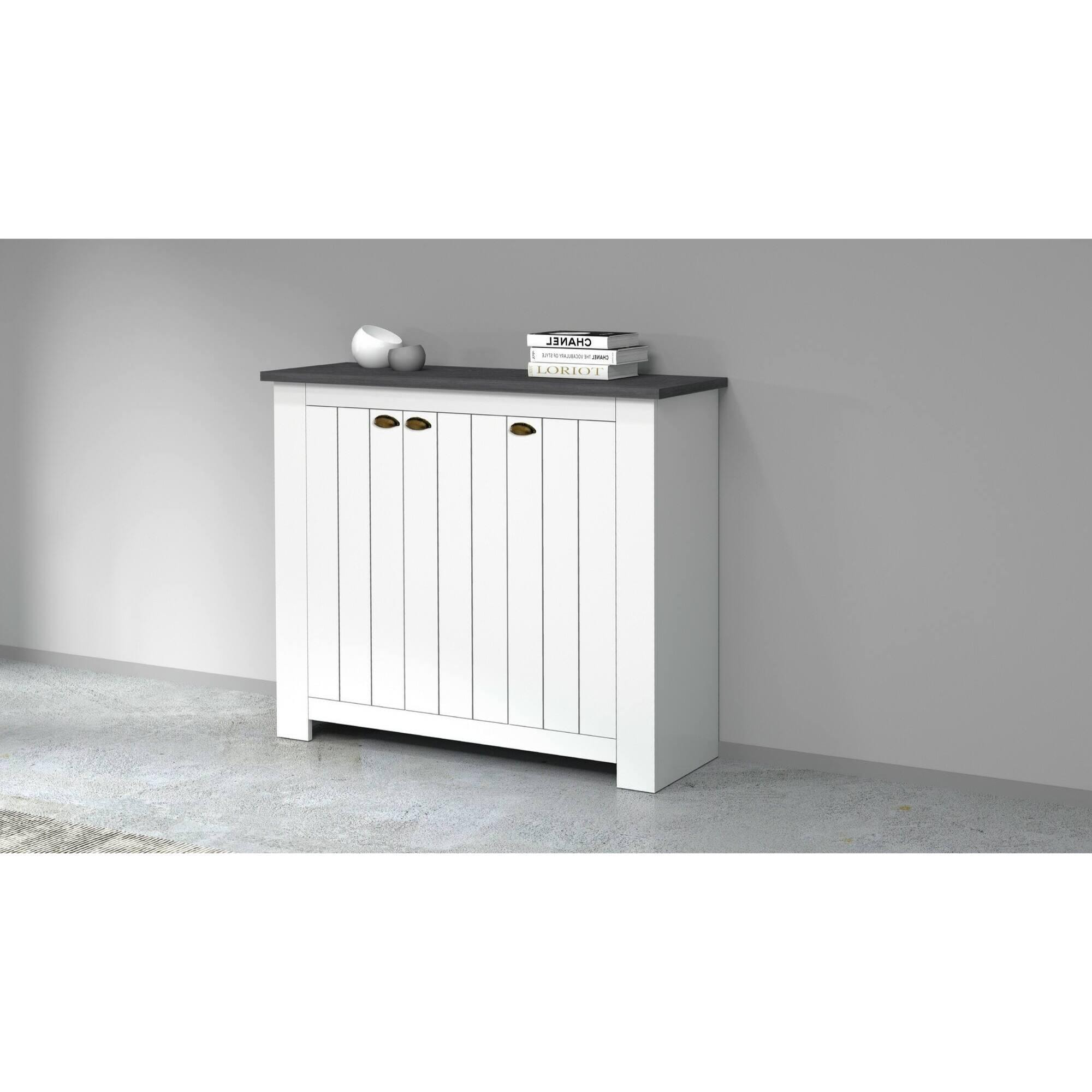 Scarpiera Dcigarin, Porta scarpe salvaspazio a 3 ante, Armadio multifunzione da ingresso, 114x42h100 cm, Bianco e Ardesia