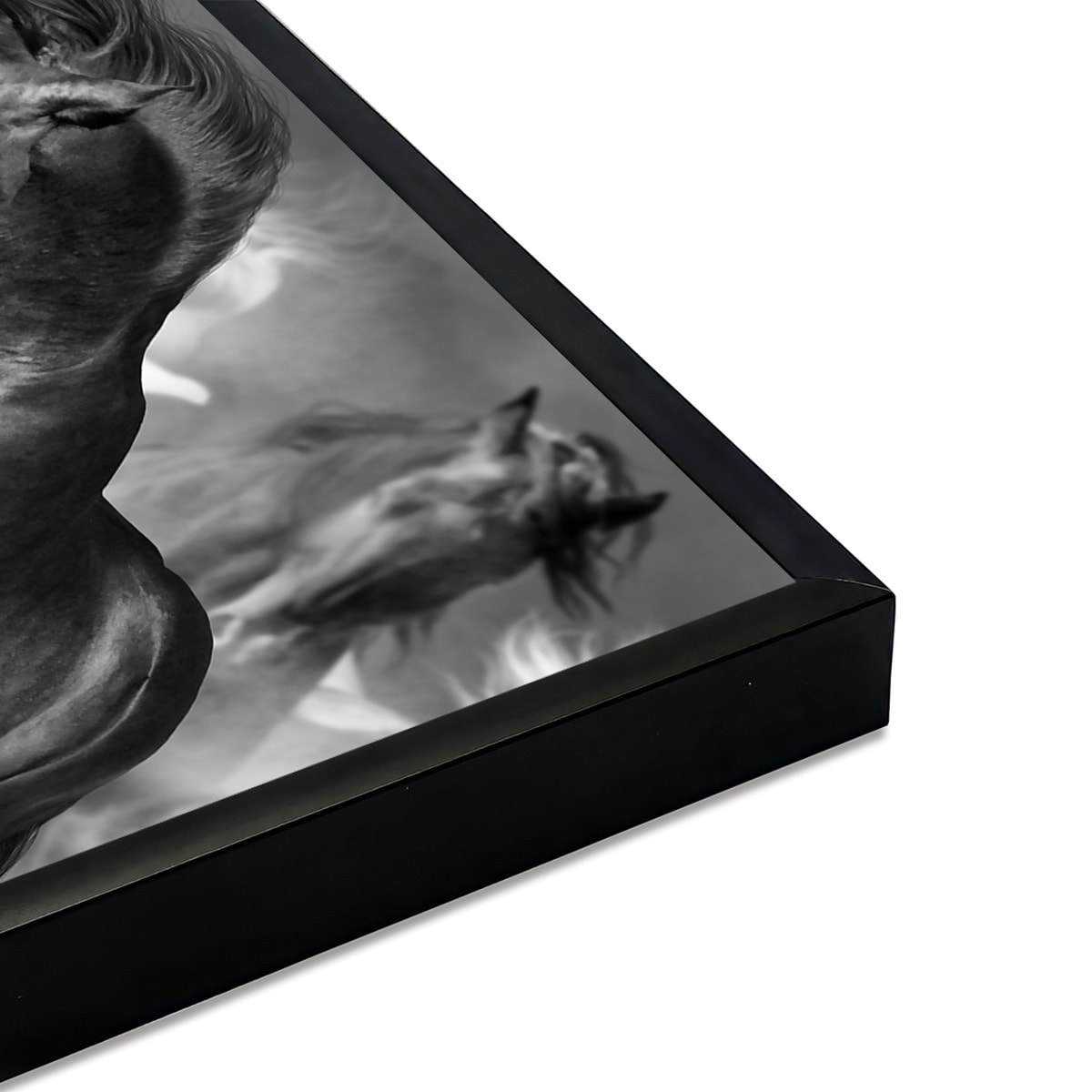 Affiche encadrée chevaux noirs artistiques Affiche + cadre en métal - Noir