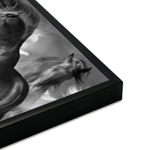Affiche encadrée chevaux noirs artistiques Affiche + cadre en métal - Noir