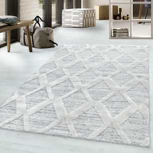 PISA - Tapis de salon à motif berbère gris - PIS4703GRI