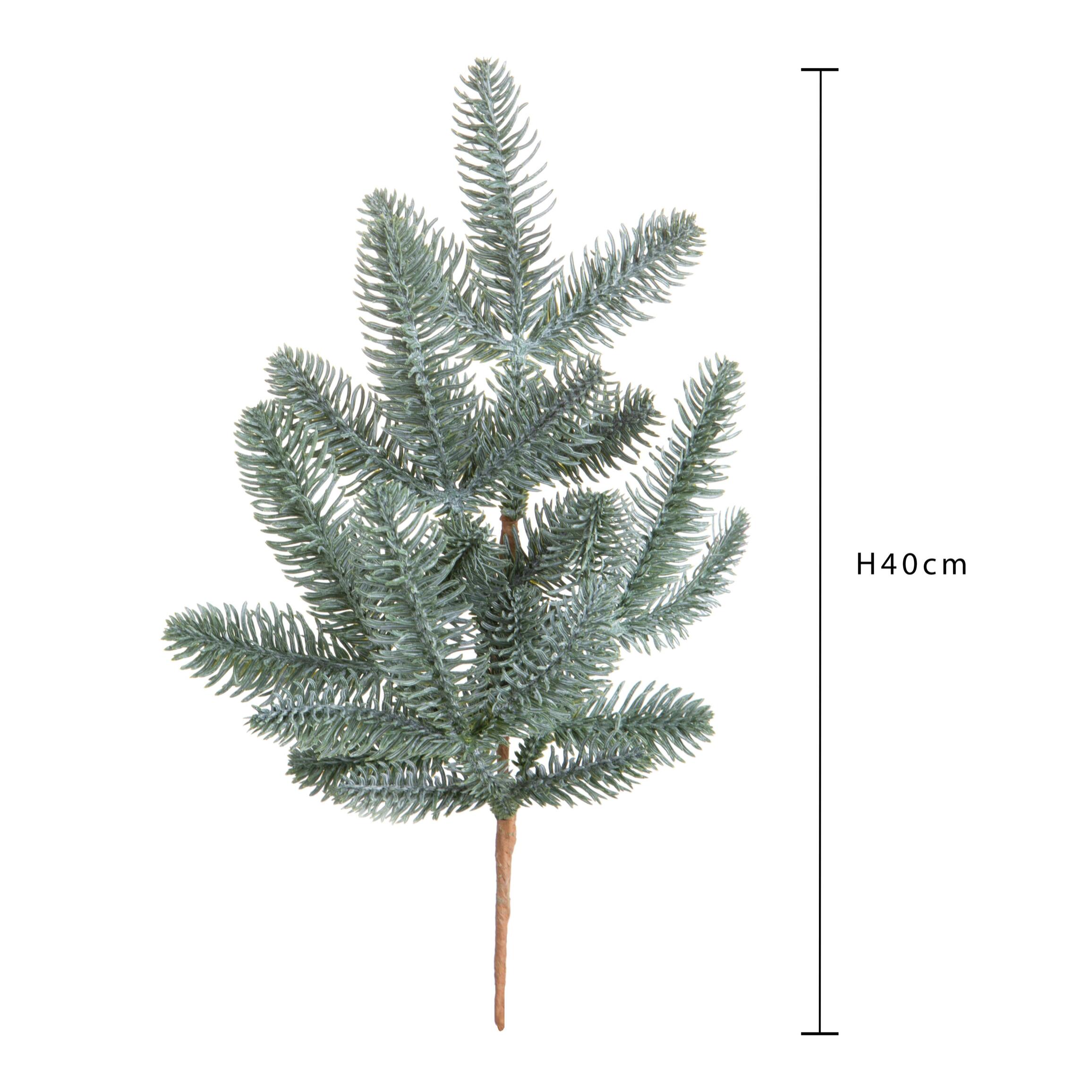 Ramo pino - Pezzi 12 - 18xH40x15cm - Bianchi Dino SpA