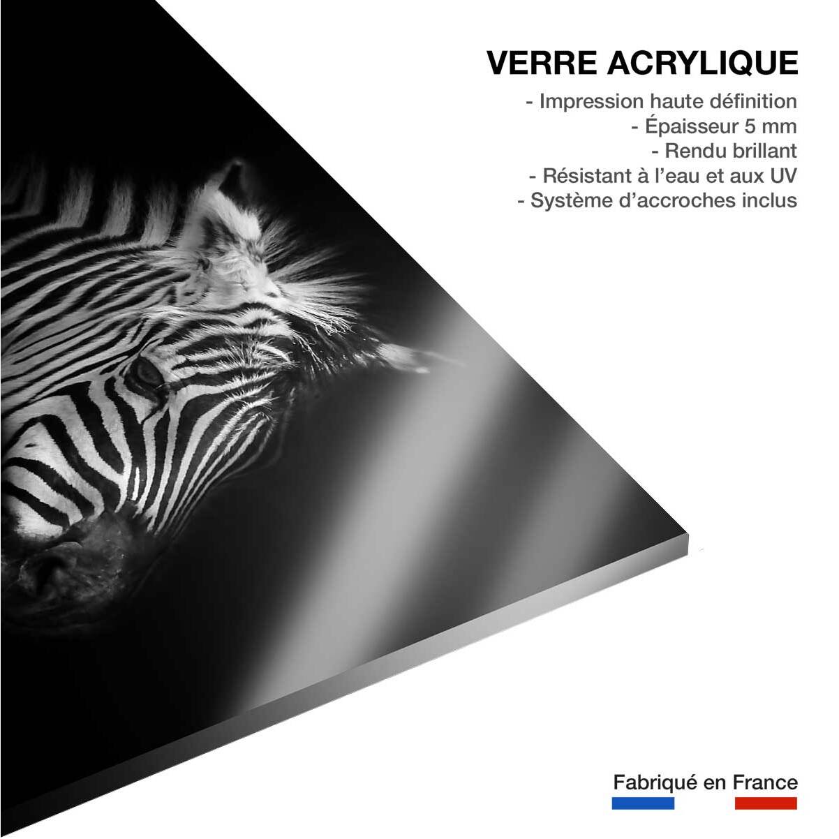 Tableau zebre dans la lumière Tableau plexiglas