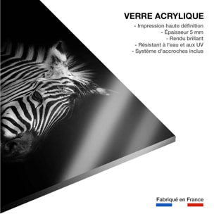 Tableau zebre dans la lumière Tableau plexiglas