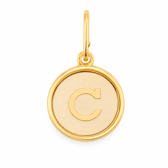 Charm Alex And Ani Mujer CS15C79