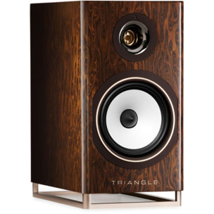 Enceinte bibliothèque active TRIANGLE Capella Nébuleuse Brune