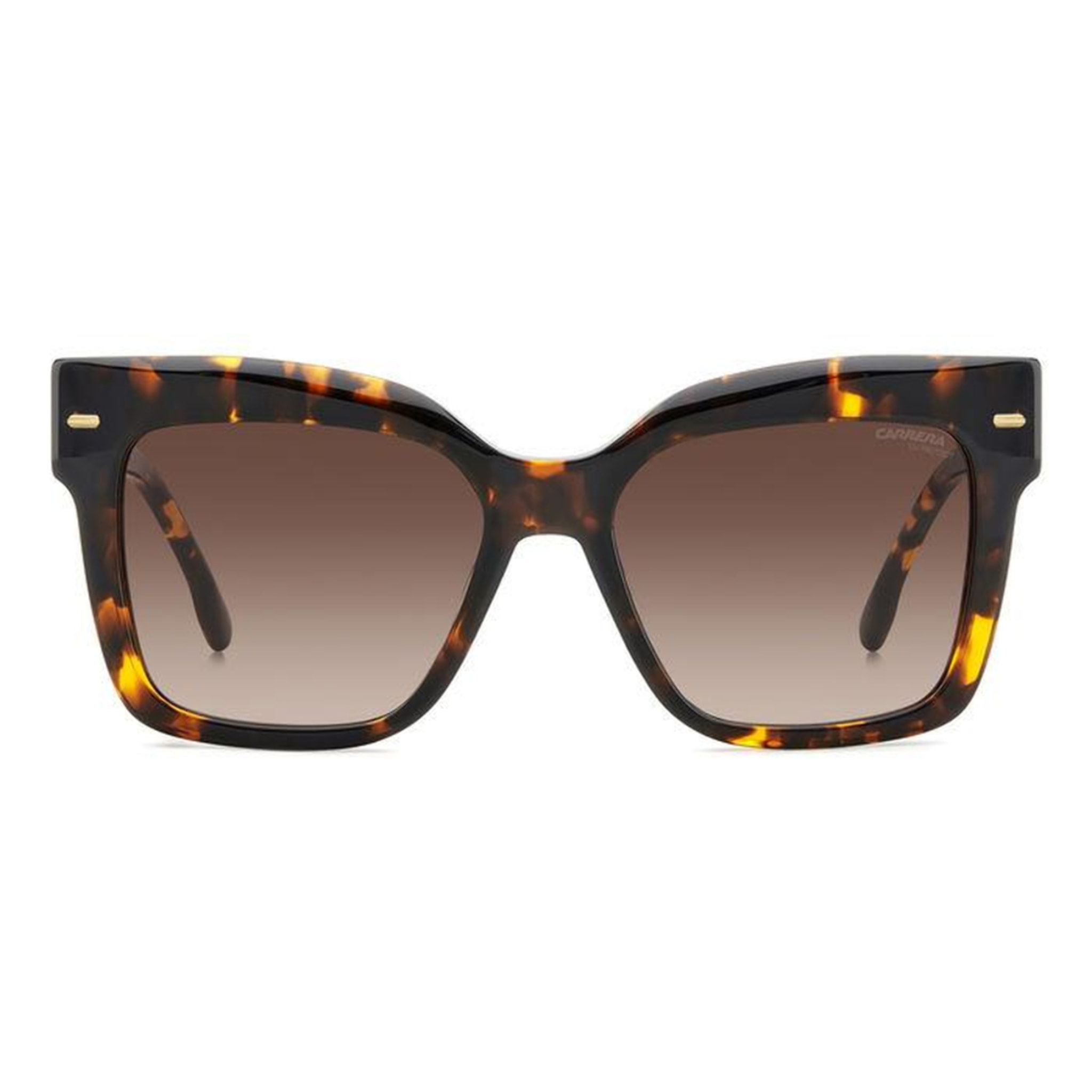 Gafas de Sol Carrera 3037/S 086 de Acetato Mujer 54 mm