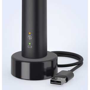 Brosse à dents électrique PHILIPS Sonicare 3000 series HX3671/14