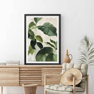 Poster Aquarelle botanique Affiche + cadre en bois - Noir