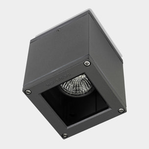Ledsc4 LedsC4 - Plafón Exterior Afrodita 90mm, Aluminio y Cristal, Acabado Gris Transparente, Iluminación Personalizable, Resistente y Elegante para Espacios al Aire Libre