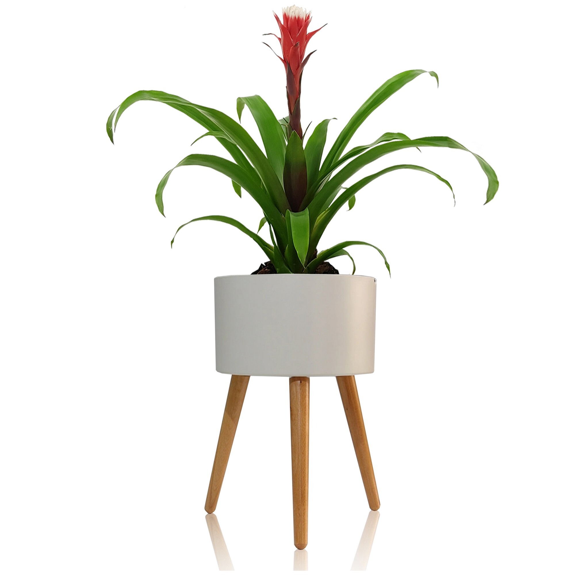 Pot de fleurs à réserve d’eau Tomasucci CALLA-C, en bois, blanc, 33 × 33 × 48 cm