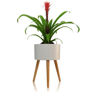 Pot de fleurs à réserve d’eau Tomasucci CALLA-C, en bois, blanc, 33 × 33 × 48 cm