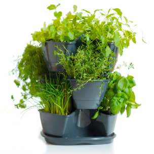 Jardín vertical colgante coubi herbal 9l., dimensiones (mm) 295x295x880, color grafito