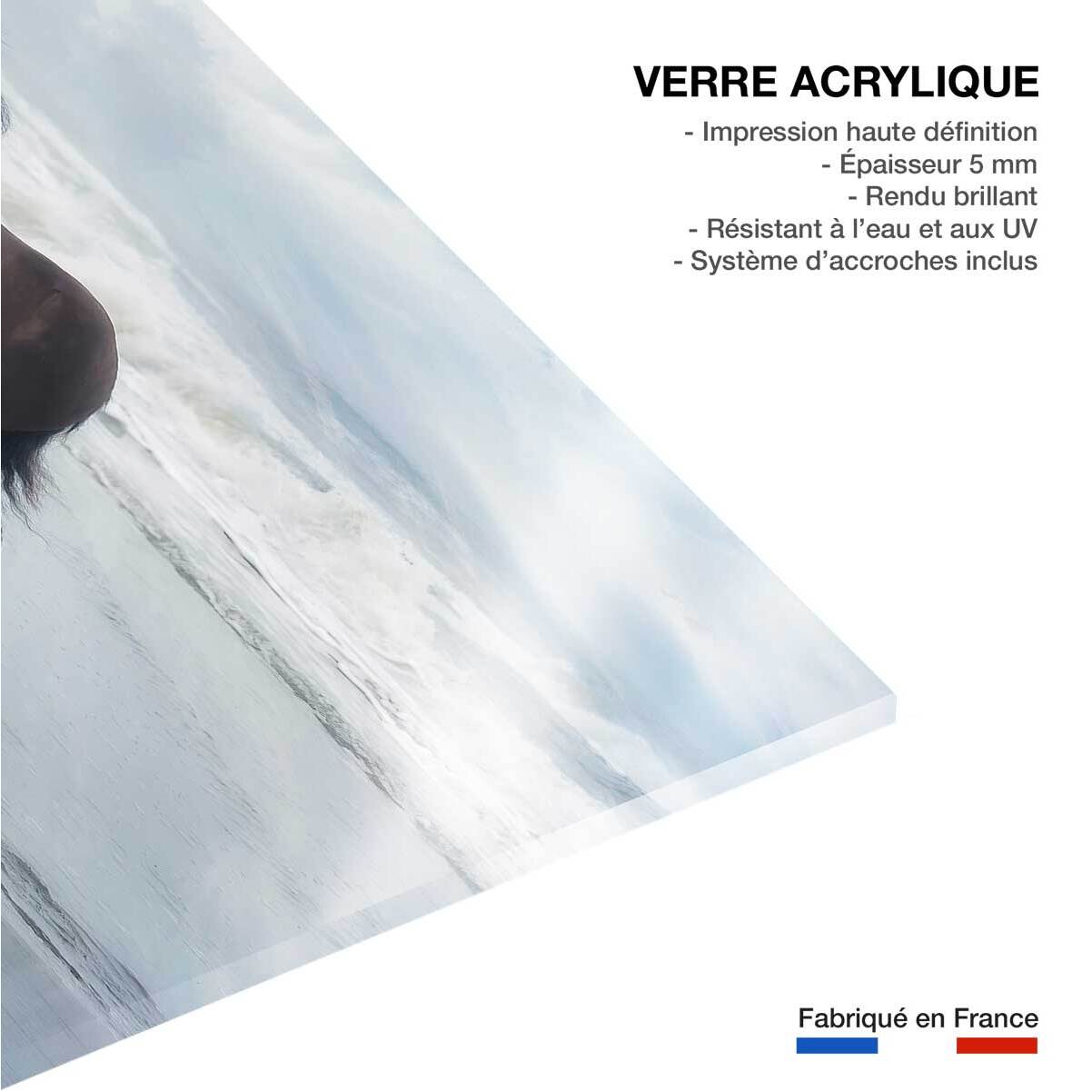 Tableau cheval mouvement du cheval  Tableau plexiglas