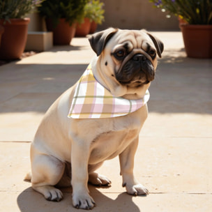 Pack de 2 bandanas pour animaux Morella A