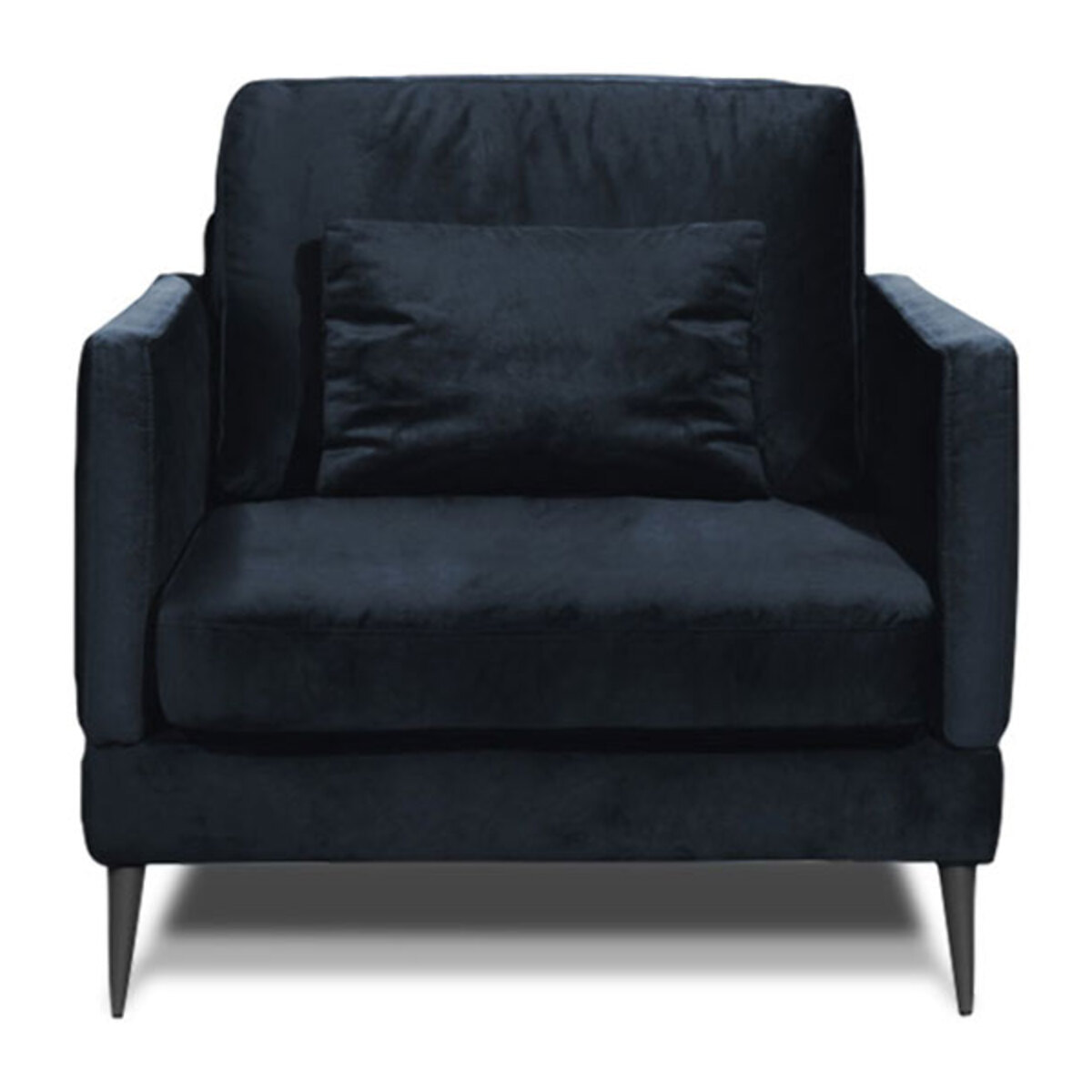 Fauteuil Tissu Splendido, 1 Place, Style Contemporain