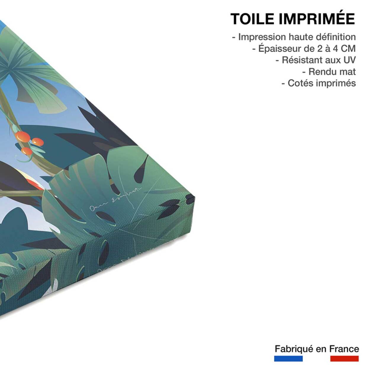 Tableau voyage volcan du Costa Rico Toile imprimée