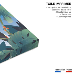 Tableau voyage volcan du Costa Rico Toile imprimée